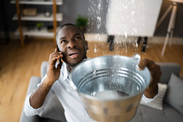 Best Sewage cleanup and water damage restoration  in Indian Hills, NM
