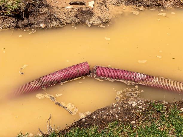 Best Carpet water damage restoration  in Indian Hills, NM